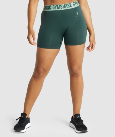 Gymshark Fit Seamless Women's Shorts Green | UAE-10CVHZ