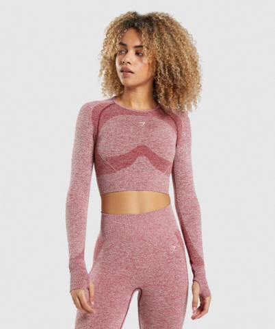 Gymshark Flex Sports Crop Top Women's Sweatshirts Burgundy | UAE-29GSEL