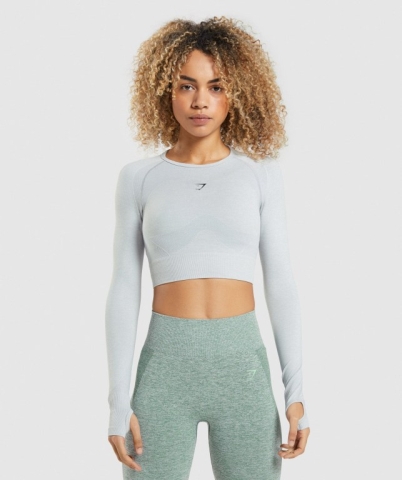 Gymshark Flex Sports Crop Top Women's Sweatshirts Light Grey | UAE-36WVCL