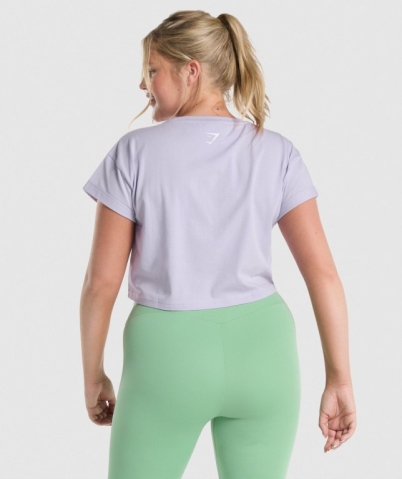 Gymshark Fraction Crop Top Women's Sweatshirts Light Purple | UAE-06YHKV