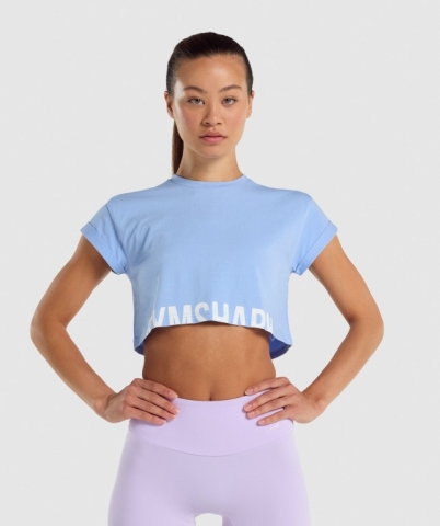 Gymshark Fraction Crop Top Women's Sweatshirts Light Blue | UAE-24NZPB