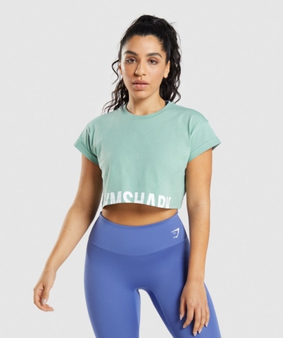 Gymshark Fraction Crop Top Women's T Shirts Blue | UAE-08KYAI