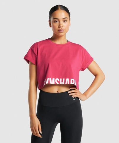 Gymshark Fraction Crop Top Women's T Shirts Pink | UAE-16LVQM