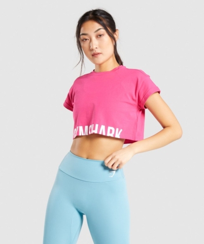 Gymshark Fraction Crop Top Women's T Shirts Pink | UAE-43YZWG