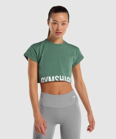 Gymshark Fraction Crop Top Women's T Shirts Green | UAE-79JEHT