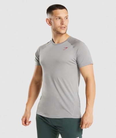 Gymshark Hyper Power Men's T Shirts Grey | UAE-51XMTU