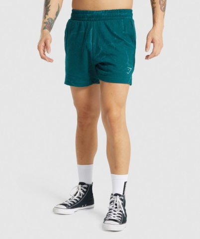 Gymshark Power 5" Men's Shorts Turquoise | UAE-72IMXJ