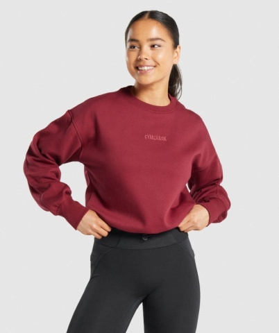 Gymshark Pulse Women's Hoodies Burgundy | UAE-86OIYS