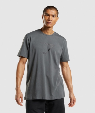 Gymshark Sharkhead Infill Men's T Shirts Grey | UAE-24GRML