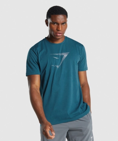 Gymshark Sharkhead Infill Men's T Shirts Turquoise | UAE-53VJAF