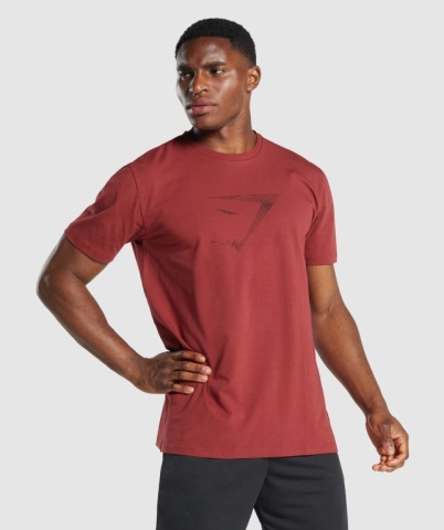 Gymshark Sharkhead Infill Men's T Shirts Burgundy | UAE-71WNKD