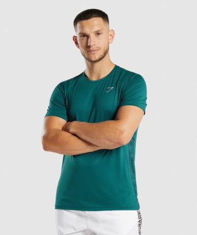 Gymshark Sport Men's T Shirts Turquoise | UAE-54LAUY