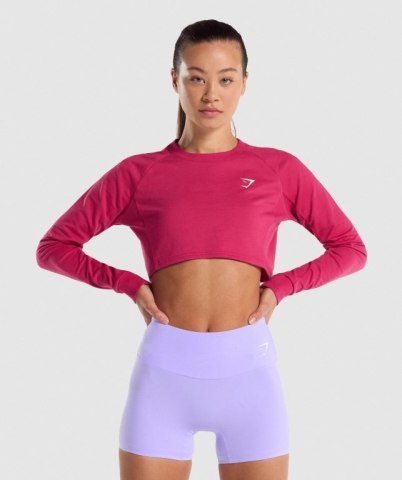 Gymshark Training Cropped Sweater Women's Hoodies Pink | UAE-05ANKU