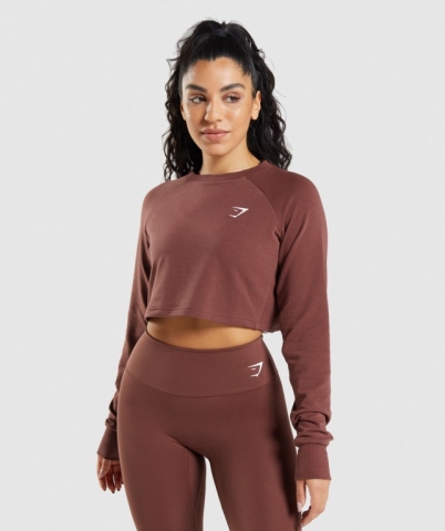 Gymshark Training Cropped Sweater Women's Hoodies Pink Brown | UAE-06UHYJ