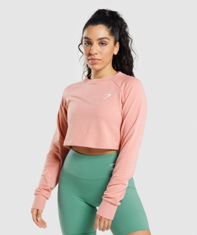 Gymshark Training Cropped Sweater Women's Hoodies Pink | UAE-51SVAP