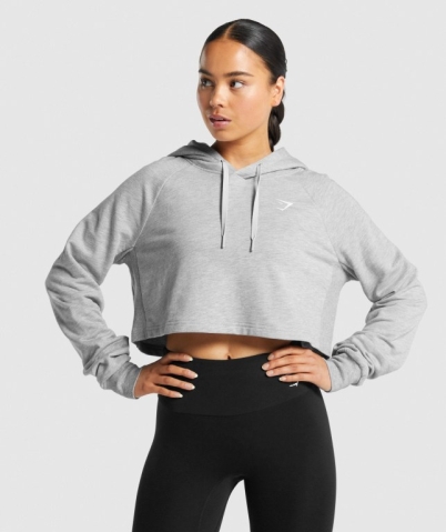 Gymshark Training Cropped Women's Hoodies Light Grey | UAE-34DQKA