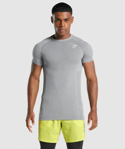 Gymshark Vital Light Seamless Men's T Shirts Grey | UAE-18SEJZ