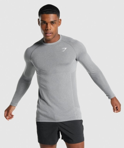 Gymshark Vital Light Seamless Men's T Shirts Grey | UAE-25UFXV