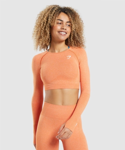 Gymshark Vital Seamless 2.0 Crop Top Women's Sweatshirts Apricot Orange | UAE-15ZOTP