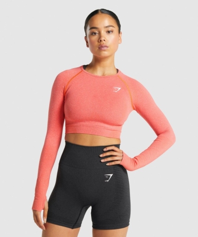 Gymshark Vital Seamless 2.0 Crop Top Women's Sweatshirts Orange | UAE-18BHPR