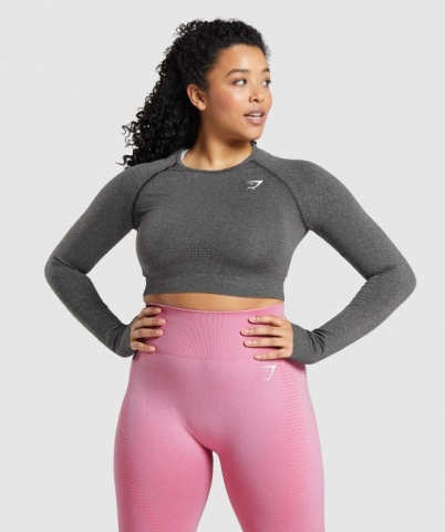 Gymshark Vital Seamless 2.0 Crop Top Women's Sweatshirts Grey | UAE-73VDUO