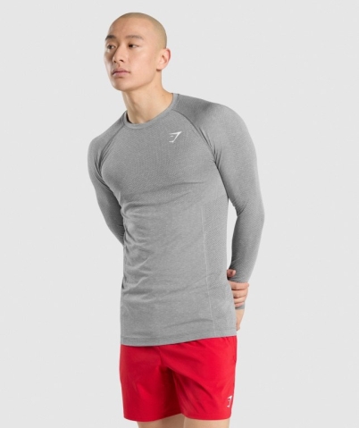 Gymshark Vital Seamless Men's T Shirts Grey | UAE-48NYHU