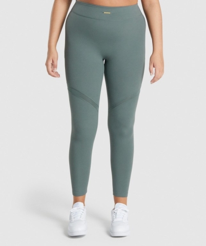 Gymshark Whitney Mesh High Waisted Women's Leggings Green | UAE-47KEBC