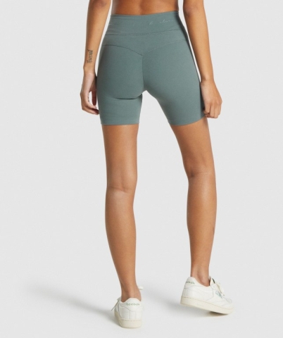 Gymshark Whitney Mesh Women's Shorts Green | UAE-01TXCZ