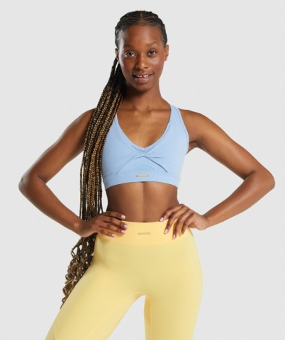 Gymshark Whitney Mesh Women's Sports Bra Blue | UAE-60DUGA