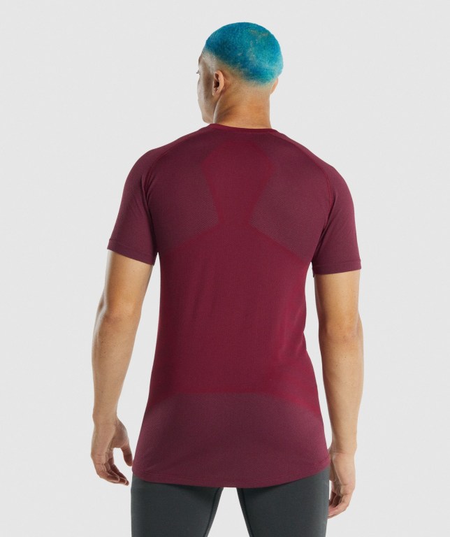 Gymshark 315 Men's T Shirts Burgundy | UAE-82DQKZ