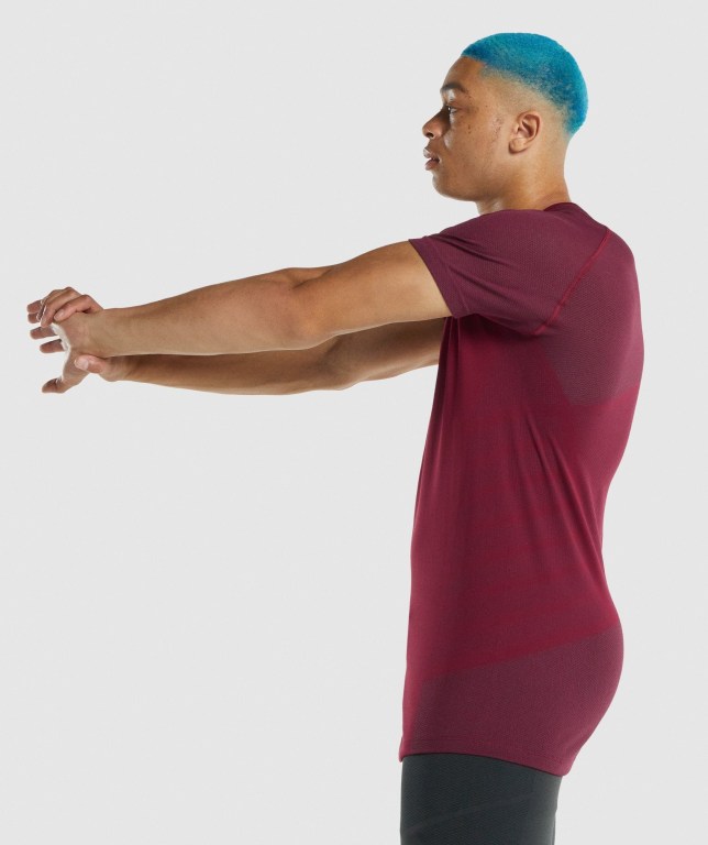 Gymshark 315 Men's T Shirts Burgundy | UAE-82DQKZ