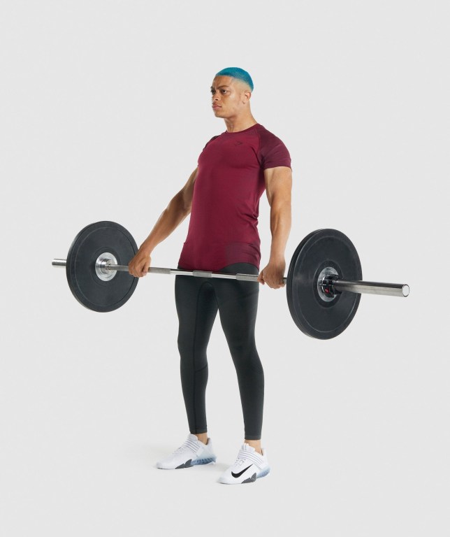 Gymshark 315 Men's T Shirts Burgundy | UAE-82DQKZ