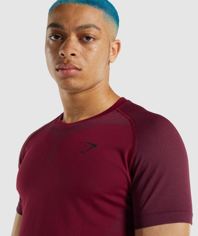 Gymshark 315 Men's T Shirts Burgundy | UAE-82DQKZ