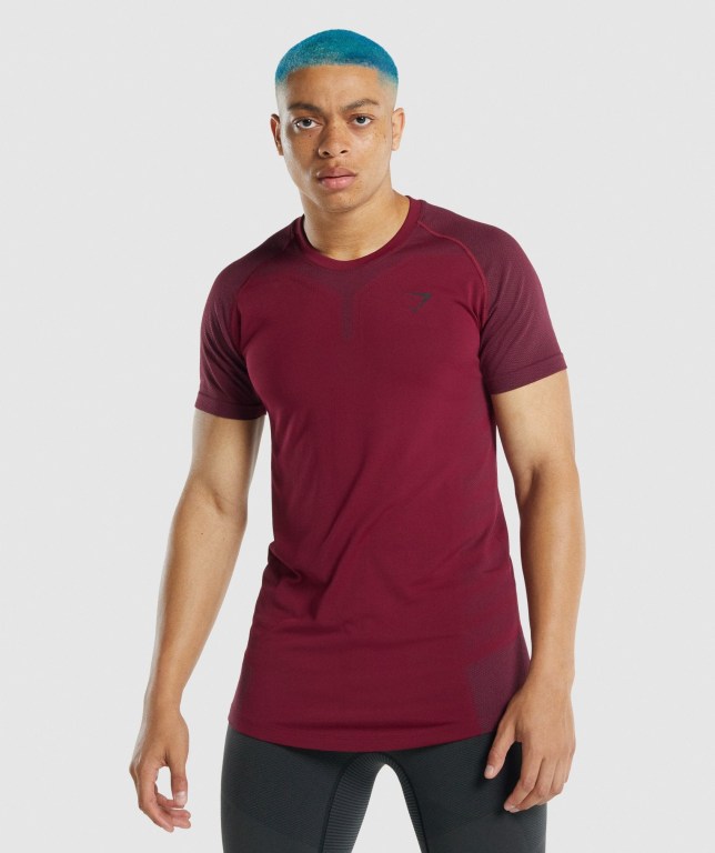 Gymshark 315 Men\'s T Shirts Burgundy | UAE-82DQKZ