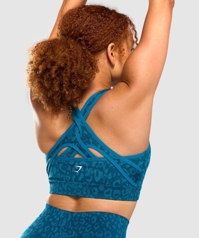 Gymshark Adapt Animal Seamless Women's Sports Bra Turquoise | UAE-42UIAC