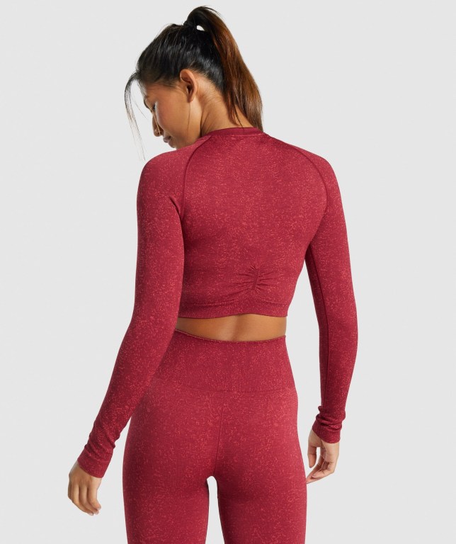 Gymshark Adapt Fleck Seamless Crop Top Women's T Shirts Burgundy | UAE-23NKBR