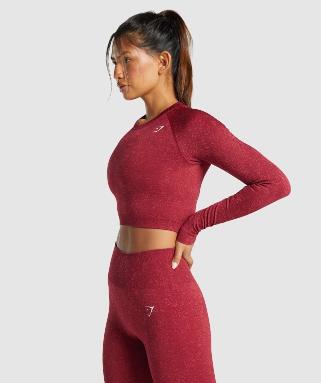 Gymshark Adapt Fleck Seamless Crop Top Women's T Shirts Burgundy | UAE-23NKBR