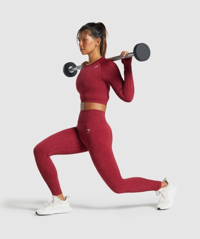 Gymshark Adapt Fleck Seamless Crop Top Women's T Shirts Burgundy | UAE-23NKBR