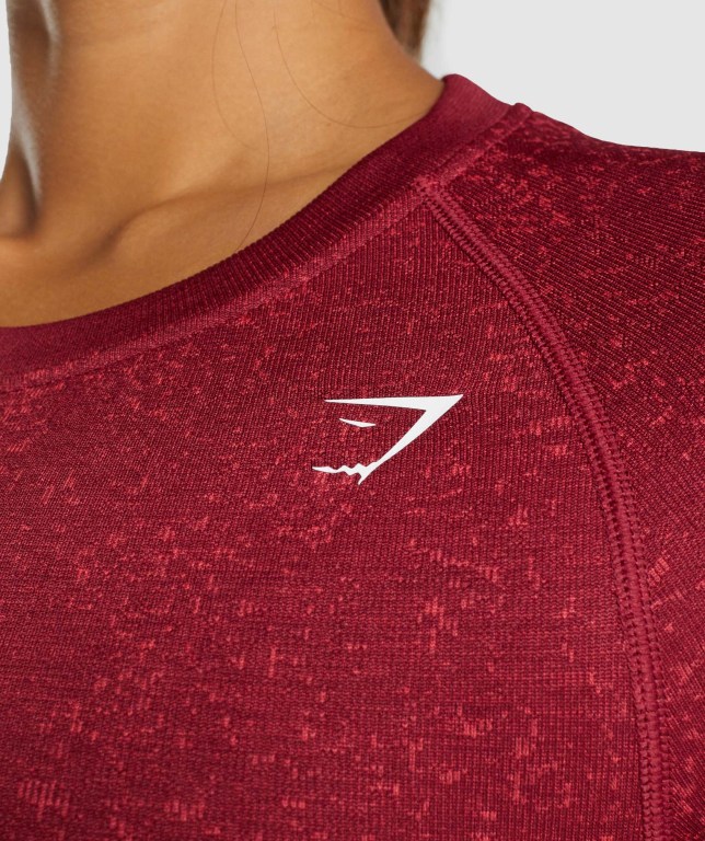 Gymshark Adapt Fleck Seamless Crop Top Women's T Shirts Burgundy | UAE-23NKBR