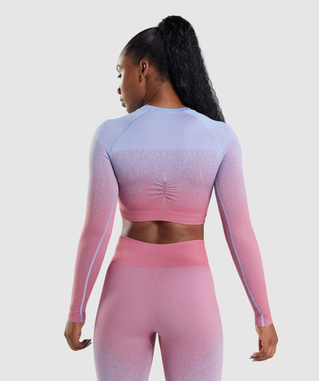 Gymshark Adapt Ombre Seamless Crop Top Women's Sweatshirts Rose Pink / Light Blue | UAE-20QLGA