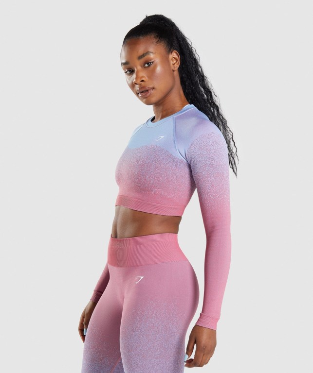 Gymshark Adapt Ombre Seamless Crop Top Women's Sweatshirts Rose Pink / Light Blue | UAE-20QLGA