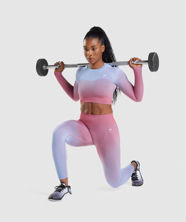 Gymshark Adapt Ombre Seamless Crop Top Women's Sweatshirts Rose Pink / Light Blue | UAE-20QLGA