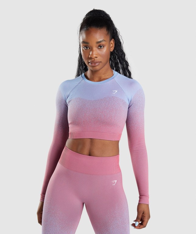 Gymshark Adapt Ombre Seamless Crop Top Women\'s Sweatshirts Rose Pink / Light Blue | UAE-20QLGA