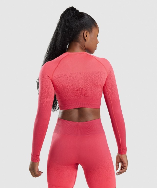 Gymshark Adapt Ombre Seamless Crop Top Women's Sweatshirts Pink / Red | UAE-70EIKF