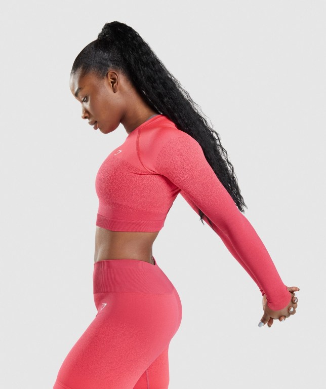 Gymshark Adapt Ombre Seamless Crop Top Women's Sweatshirts Pink / Red | UAE-70EIKF