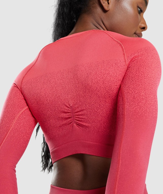 Gymshark Adapt Ombre Seamless Crop Top Women's Sweatshirts Pink / Red | UAE-70EIKF