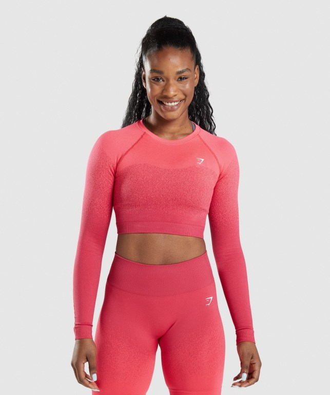 Gymshark Adapt Ombre Seamless Crop Top Women\'s Sweatshirts Pink / Red | UAE-70EIKF