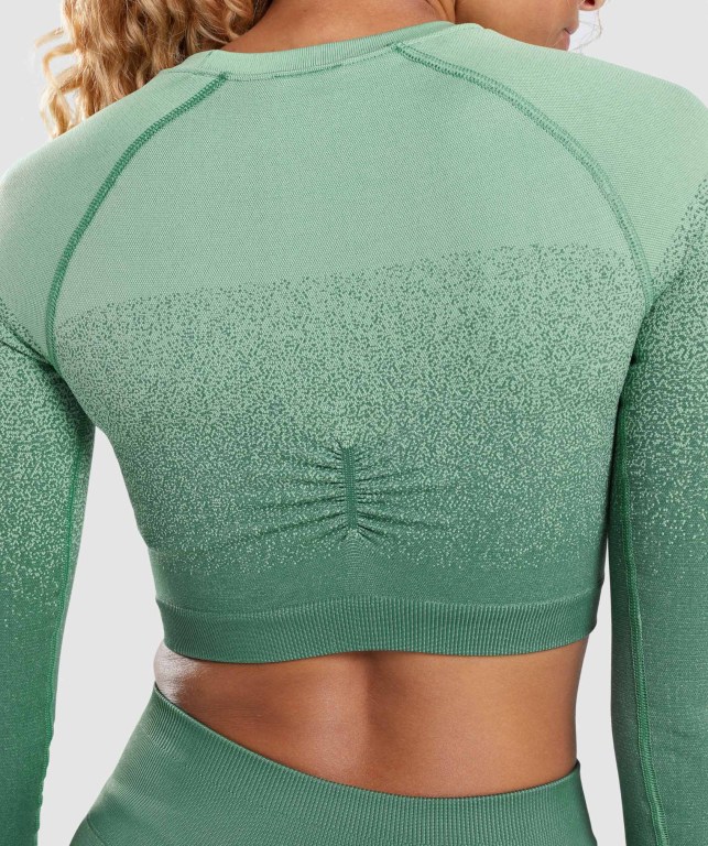 Gymshark Adapt Ombre Seamless Crop Top Women's Sweatshirts Green / Light Green | UAE-79GXAS