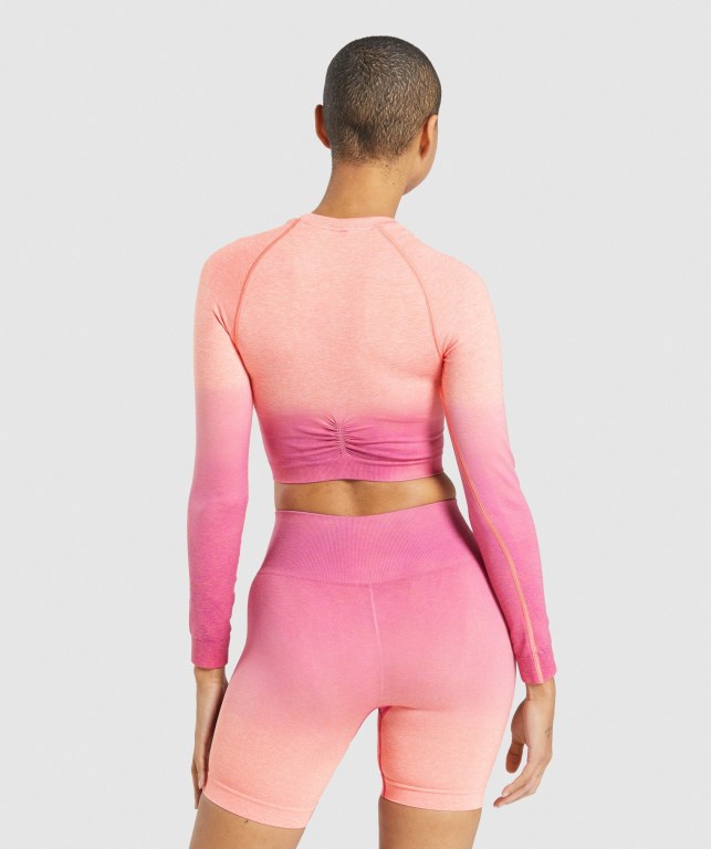 Gymshark Adapt Ombre Seamless Crop Top Women's Sweatshirts Orange / Pink | UAE-79JTHD