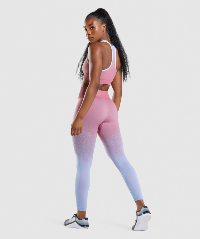 Gymshark Adapt Ombre Seamless High Waisted Women's Leggings Rose Pink / Light Blue | UAE-21DBTJ